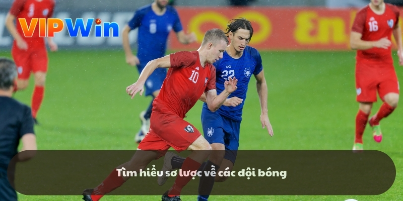 Tìm hiểu sơ lược về các đội bóng